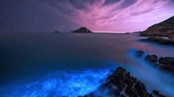海底寻宝逃脱2